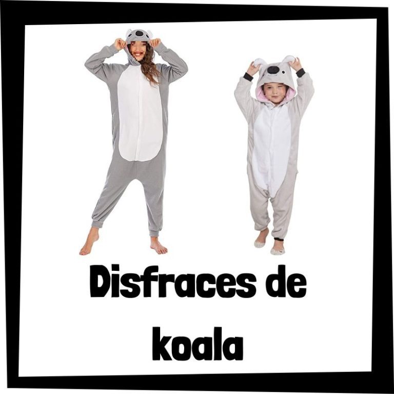 Lee más sobre el artículo Disfraz de koala