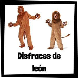 Lee más sobre el artículo Disfraz de león
