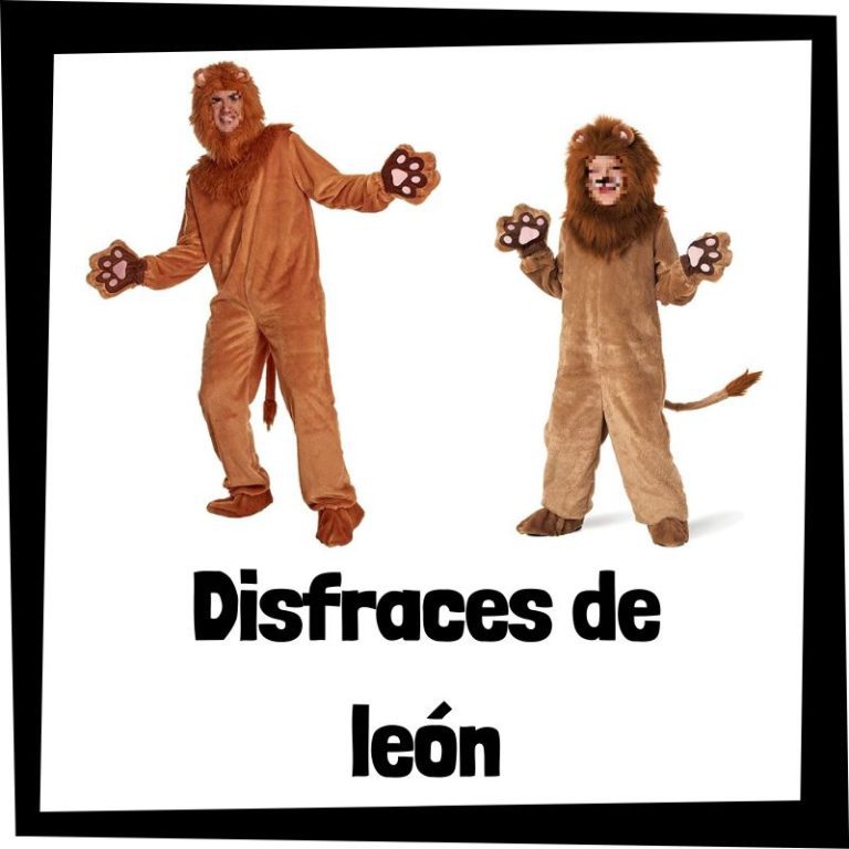 Lee más sobre el artículo Disfraz de león