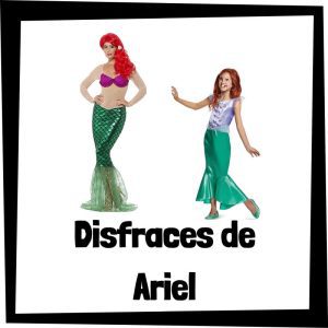 Lee más sobre el artículo Disfraz de Ariel de La Sirenita