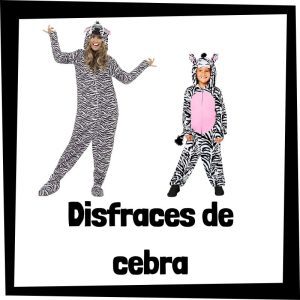 Lee más sobre el artículo Disfraz de cebra