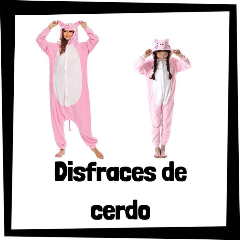 Lee más sobre el artÃculo Disfraz de cerdo