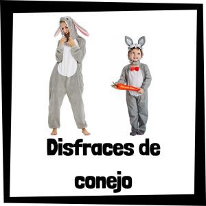 Lee más sobre el artículo Disfraz de conejo