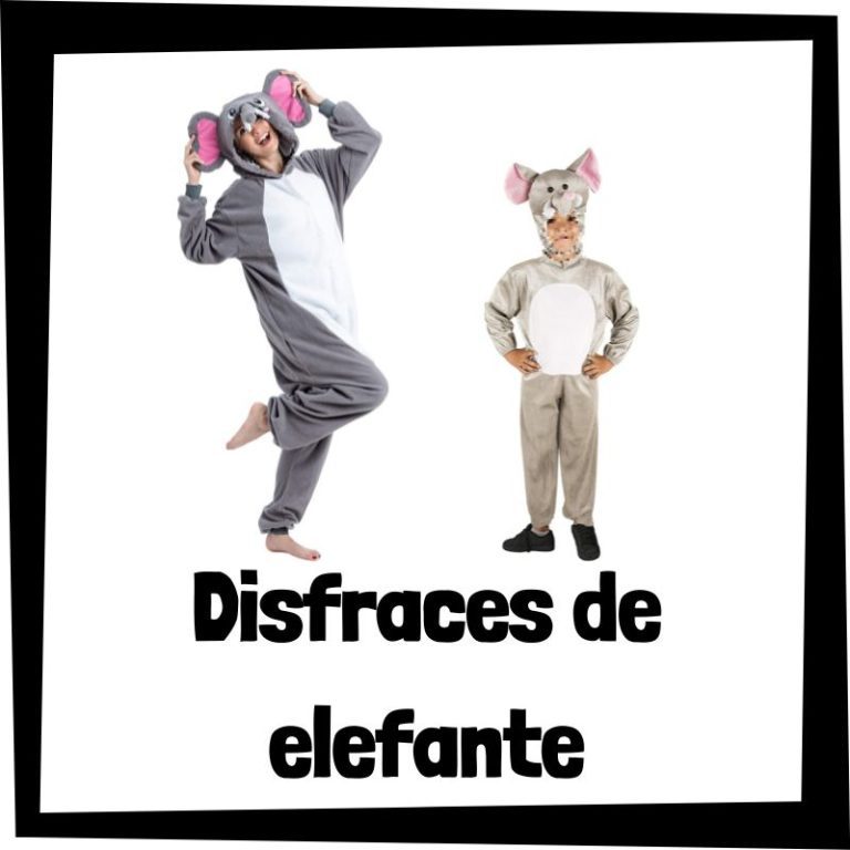 Lee más sobre el artículo Disfraz de elefante