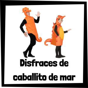 Lee más sobre el artículo Disfraz de caballito de mar