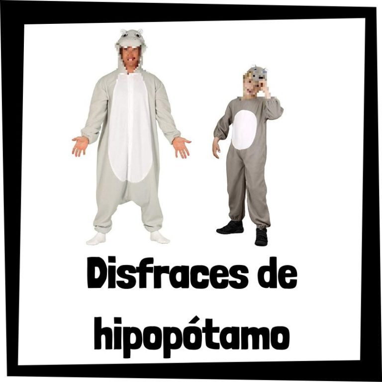 Lee más sobre el artículo Disfraz de hipopótamo