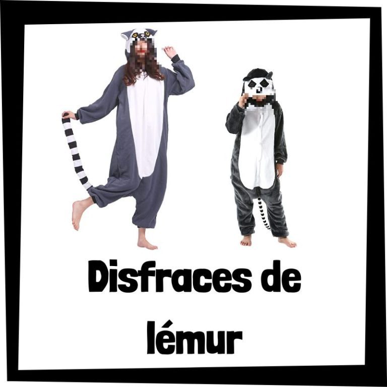 Lee más sobre el artículo Disfraz de lémur