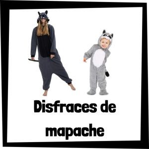 Lee más sobre el artículo Disfraz de mapache