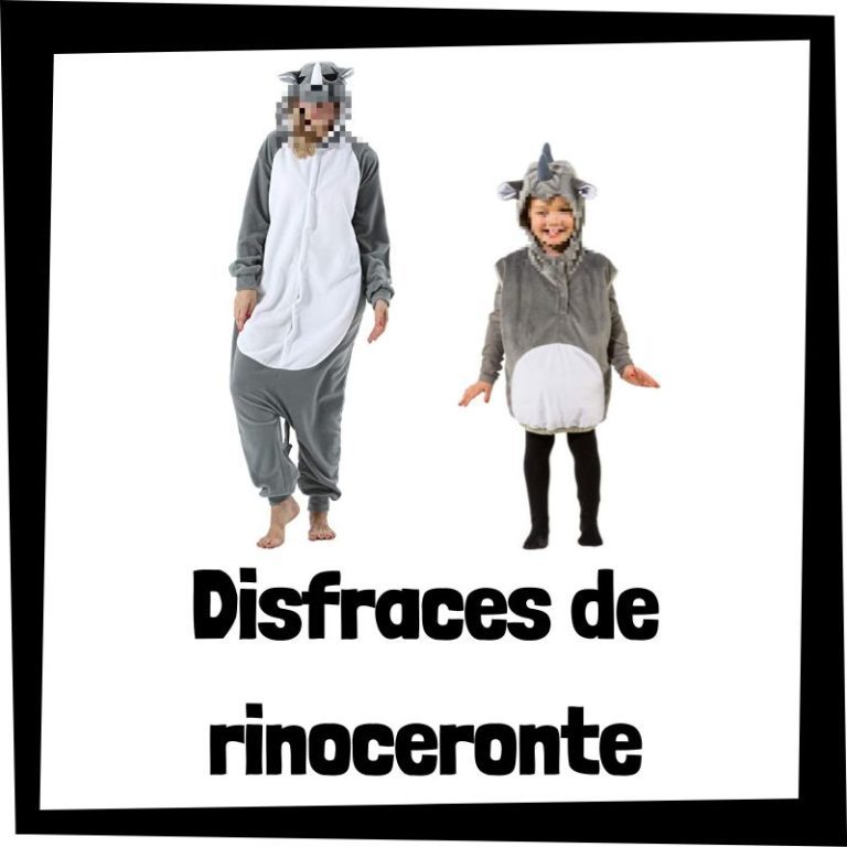 Lee más sobre el artÃculo Disfraz de rinoceronte