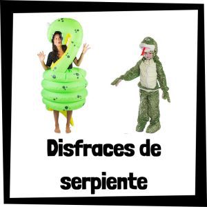 Lee más sobre el artículo Disfraz de serpiente