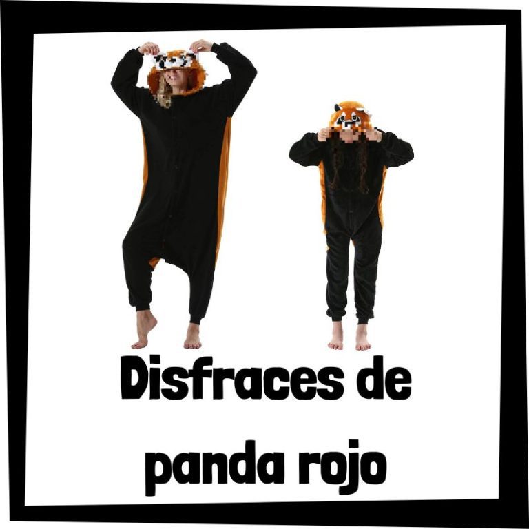 Lee más sobre el artículo Disfraz de panda rojo