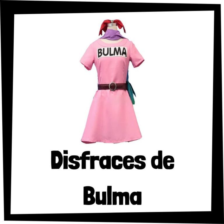 Lee más sobre el artÃculo Disfraz de Bulma